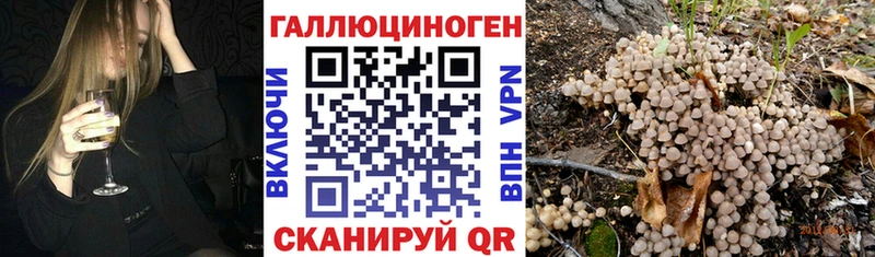 Псилоцибиновые грибы Magic Shrooms  купить наркотик  Гурьевск 